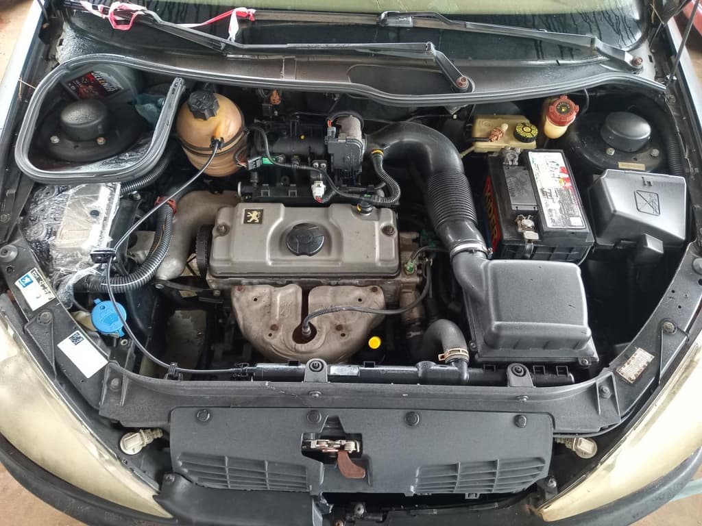 Peugeot 206 14 Sensat FX 2006 — foto 5
