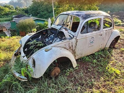 Volkswagen Fusca 1983 — foto 1