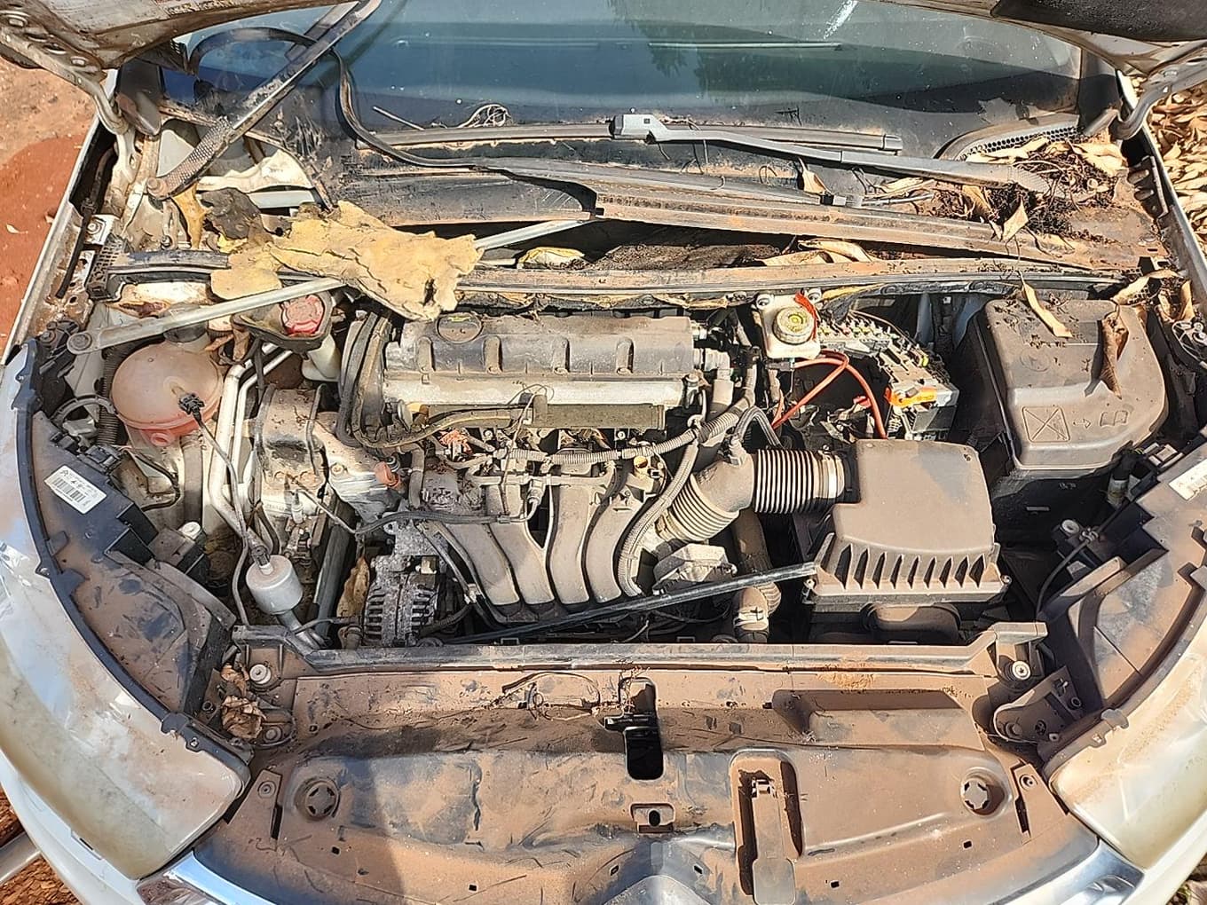 Citroën C4L A2 L Tend 2014 — foto 10
