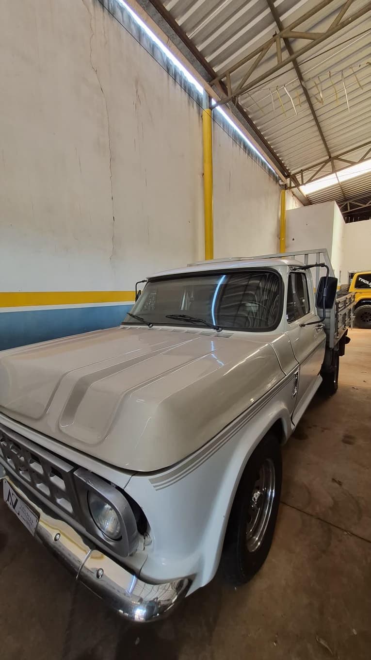 Chevrolet D10 1000 1984 — foto 3