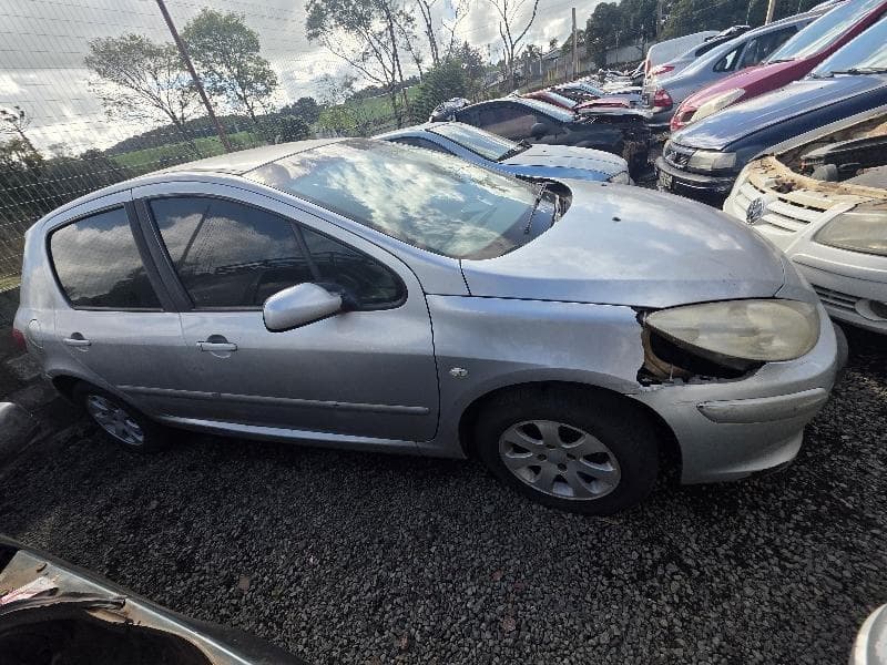 Peugeot 307 20S a Feli 2006 — foto 1
