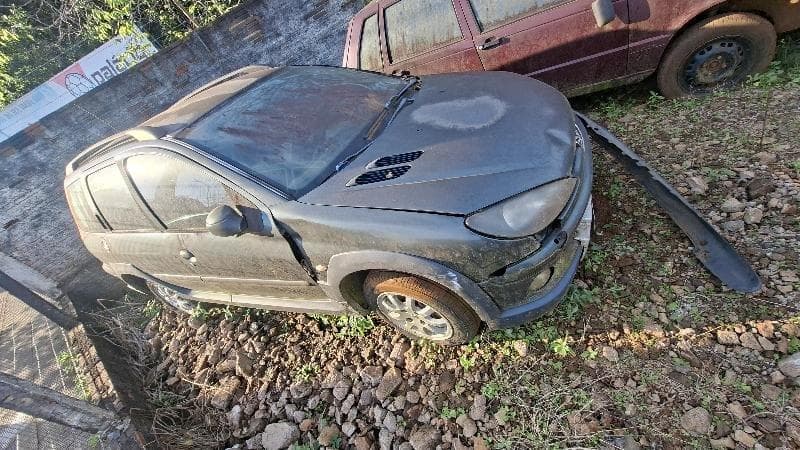 Peugeot 206 Sw16 Esca FX 2007 — foto 2