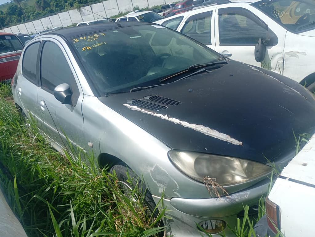 Peugeot 206 14 Feline FX 2006, prata