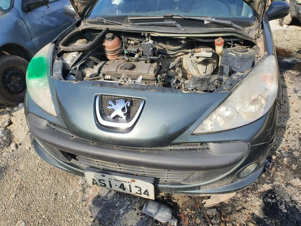 Peugeot Peugeot/207 Passion XR S 2010