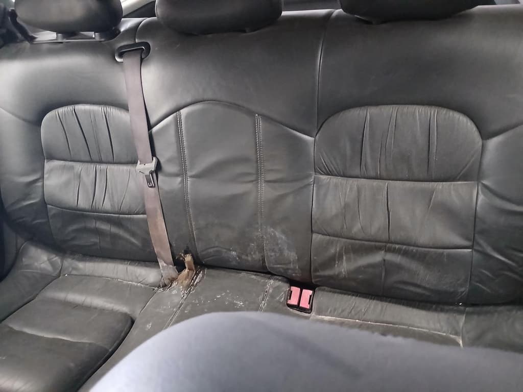 Renault Laguna Nevada 1997 — foto 4