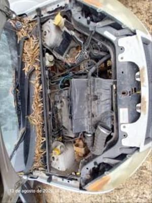 Ford Fiesta 2010 — foto 8