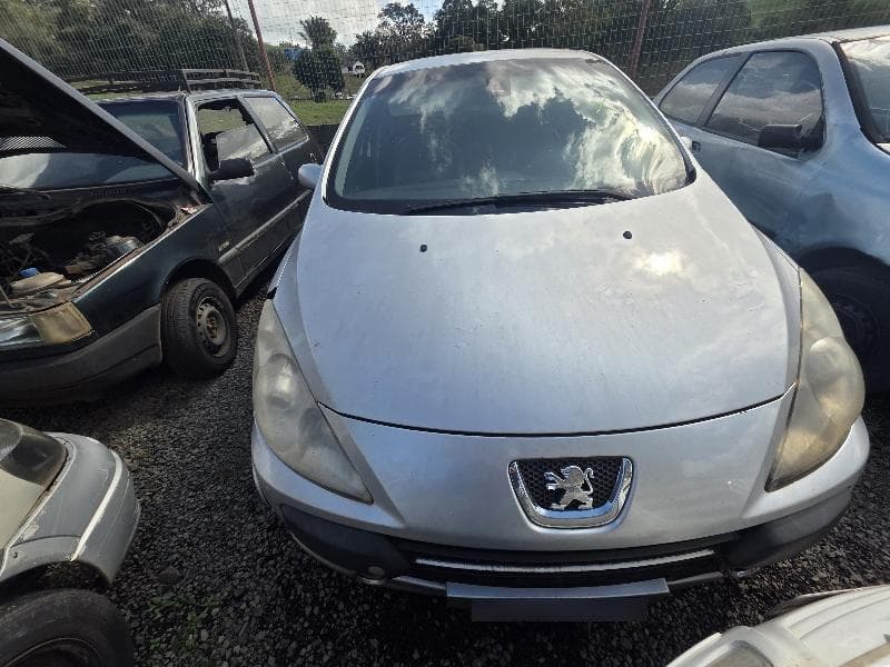Peugeot 307 20S a Feli 2006 — foto 12