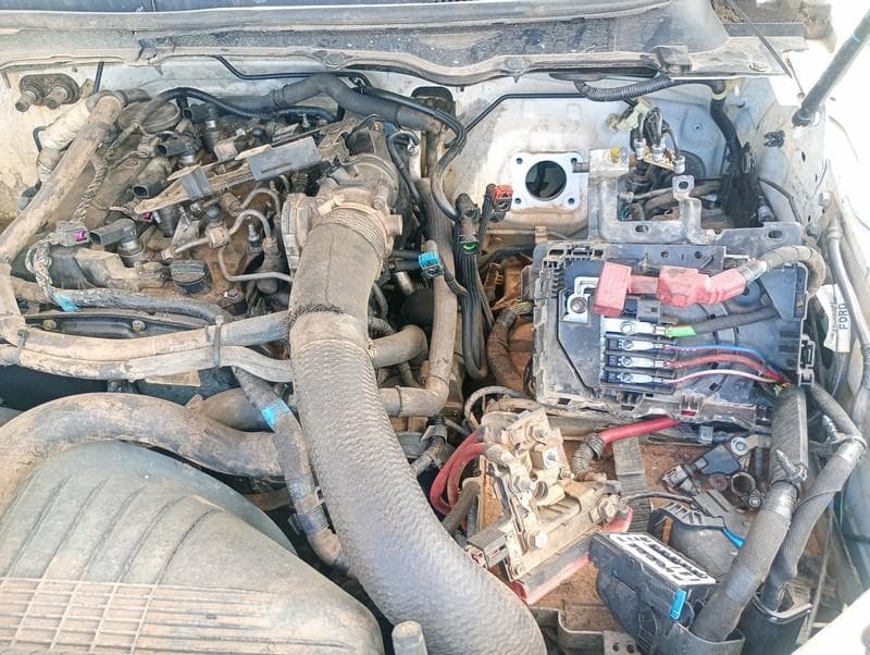 Ford Ranger XL 22C 2.2, 2022 — foto 19