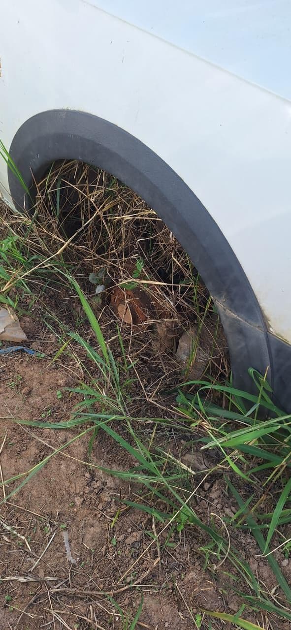 Volkswagen Saveiro Marimar AMB 2016 — foto 11
