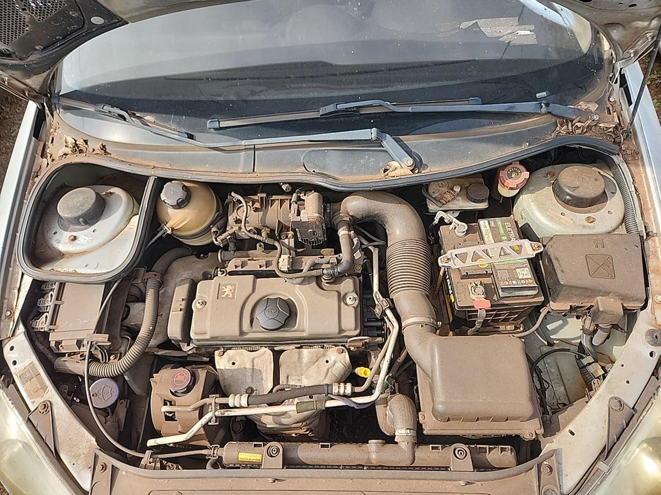Peugeot 206 14 Presen FX 2008 — foto 2