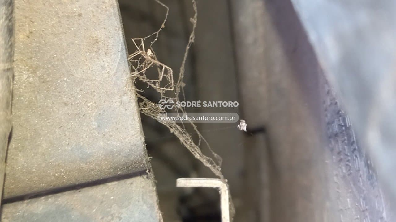 Honda Xre 300 2016 — foto 12