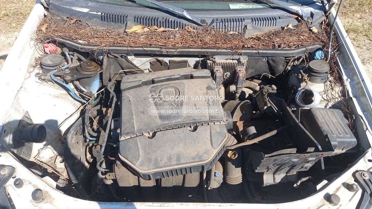 Fiat Palio Wk Trekk 1.6 2013 — foto 5