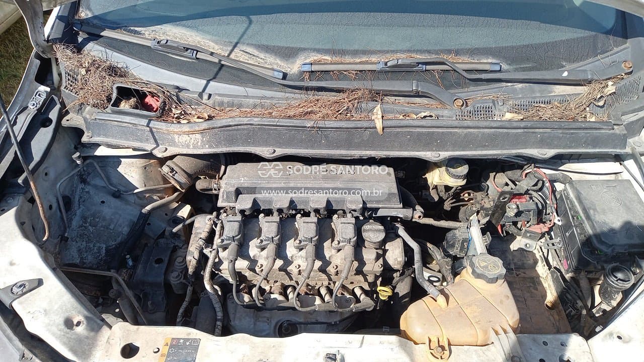 Chevrolet Spin 1.8l Mt Ls e 2019 — foto 5