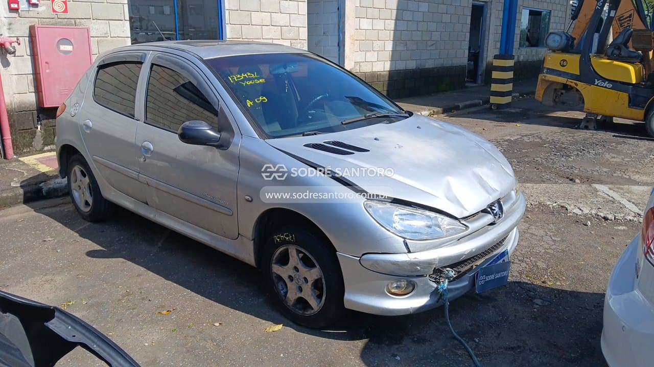 Peugeot 206 Moonli 2008, prata