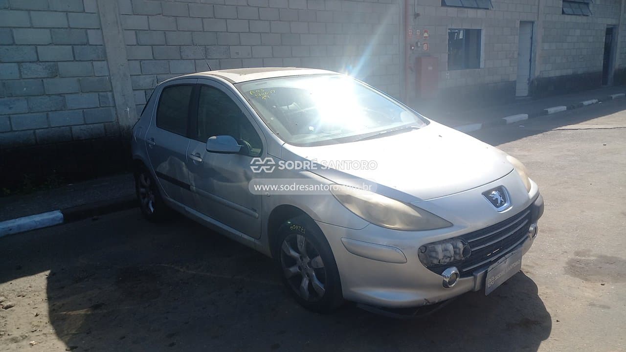 Peugeot 307 2009, prata
