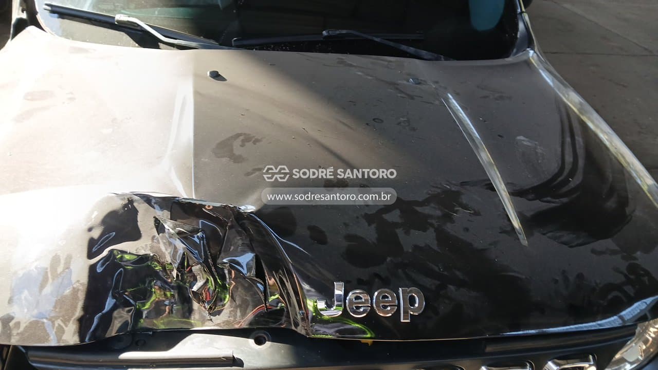 Jeep Renegade 1.8 At 2018 — foto 12