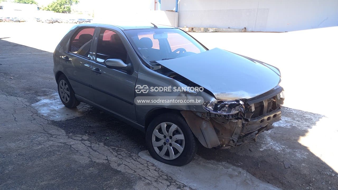 Fiat Palio Fire Flex 2007, cinza