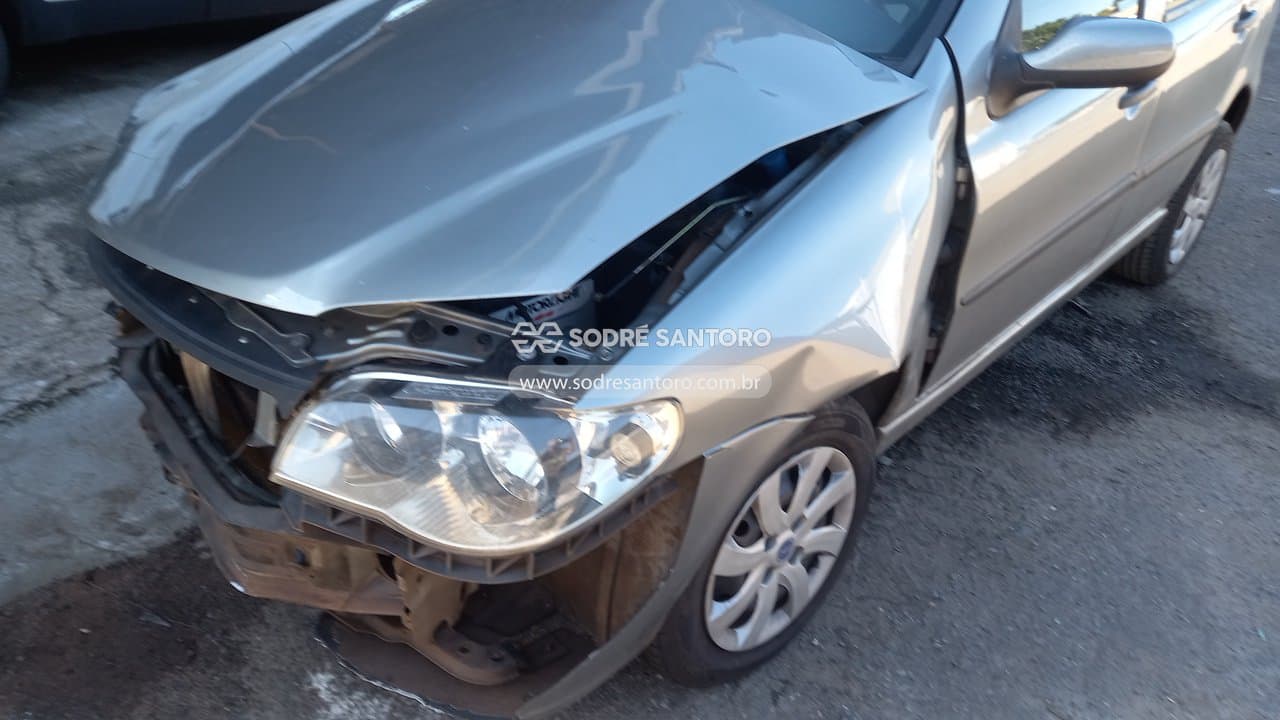 Fiat Palio Fire Flex 2007 — foto 12