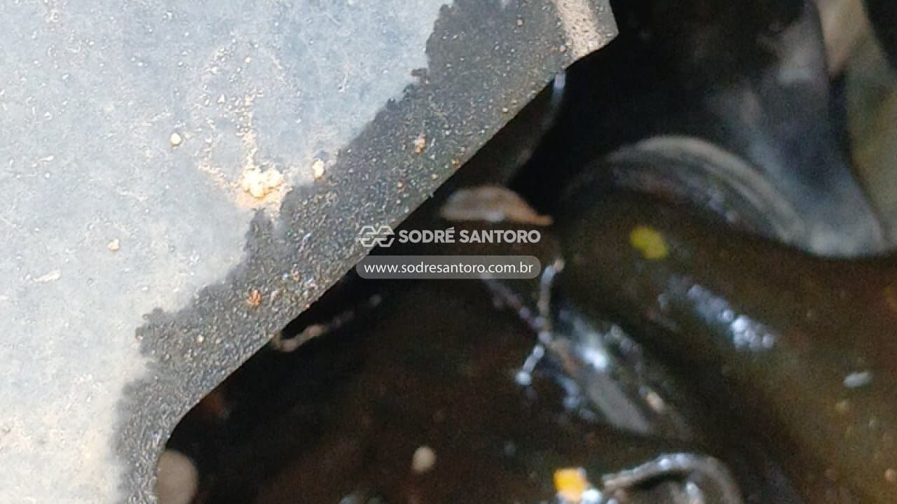 Honda Civic Ex Cvt 2019 — foto 12