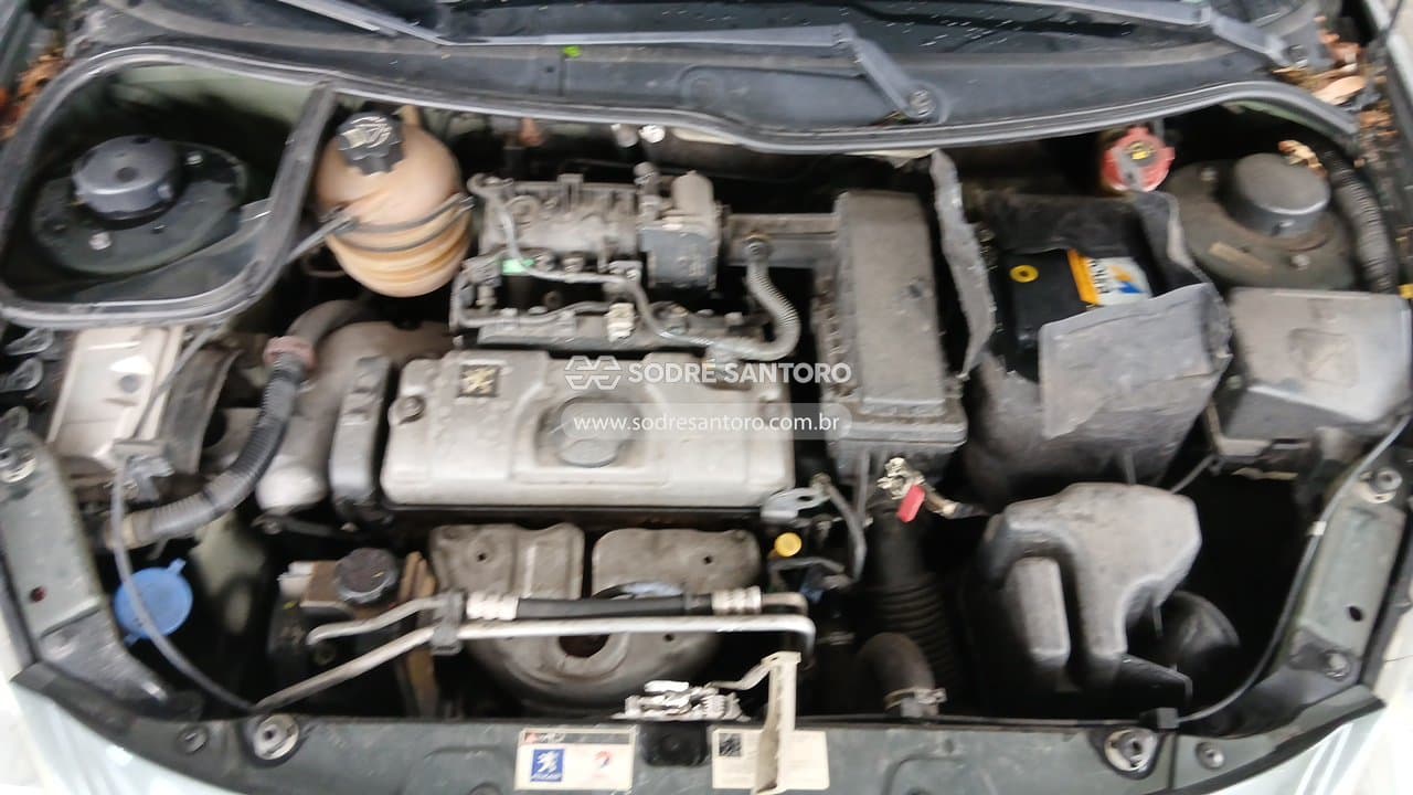 Peugeot 207 Passion Xr S 2010 — foto 5