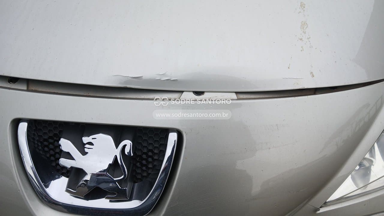 Peugeot 207 Xr 2012 — foto 12