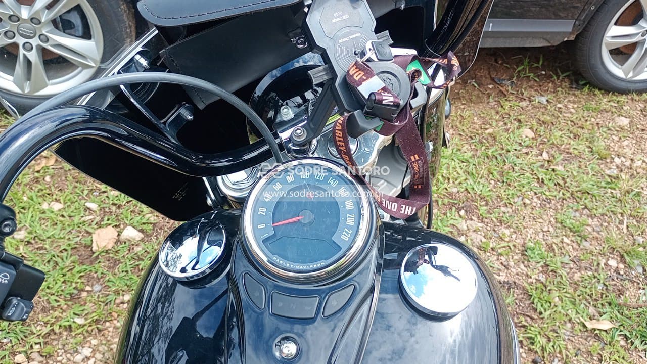 Harley-Davidson Flhcs 2021 — foto 8