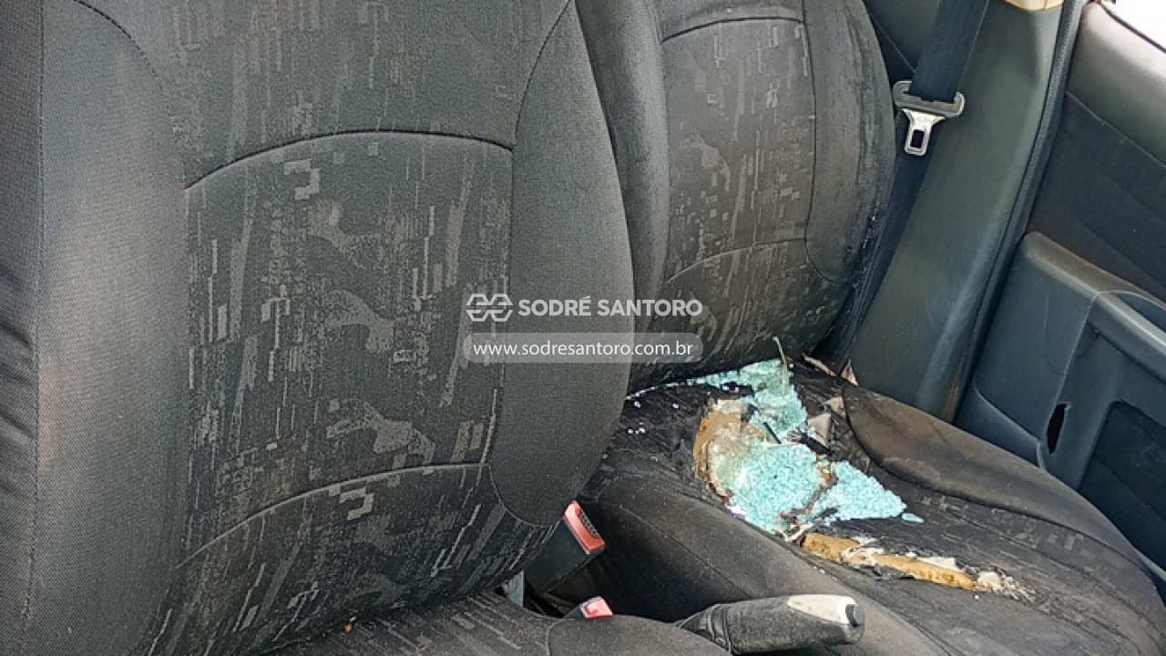 Fiat Palio Elx Flex 2004 — foto 8