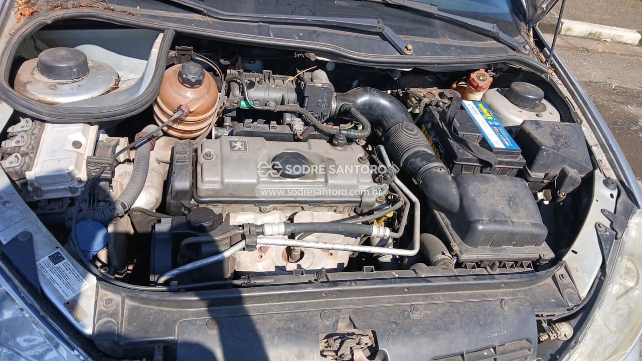 Peugeot 206 Moonli 2008 — foto 5