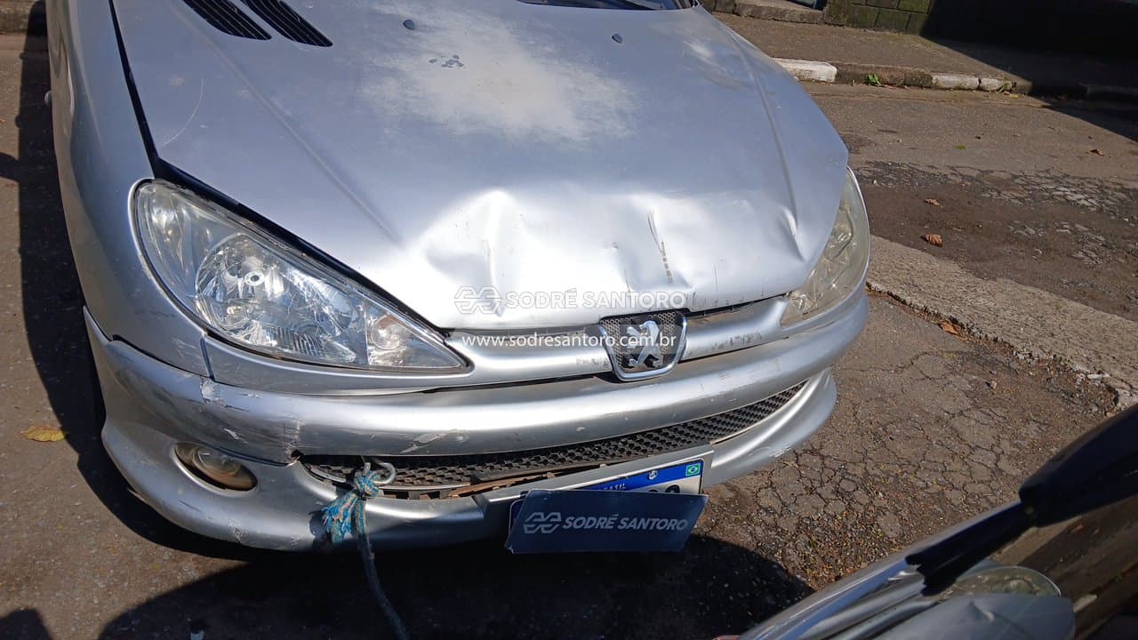 Peugeot 206 Moonli 2008 — foto 10