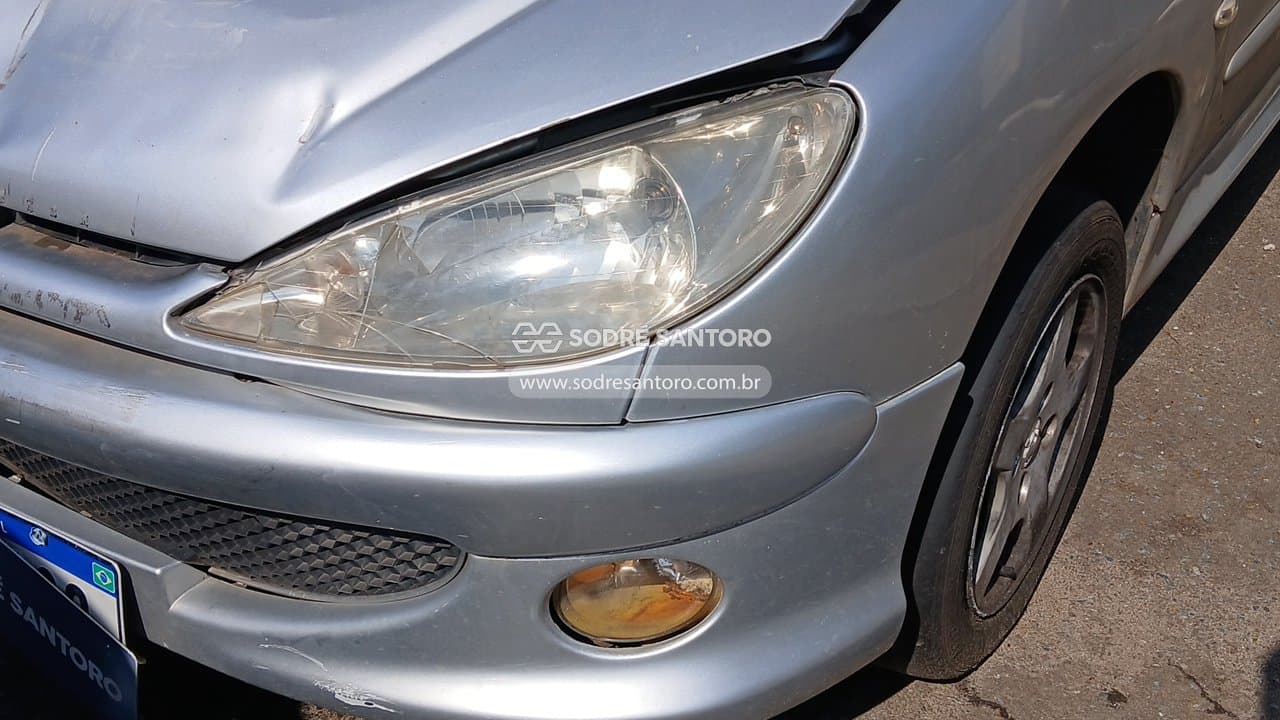 Peugeot 206 Moonli 2008 — foto 11
