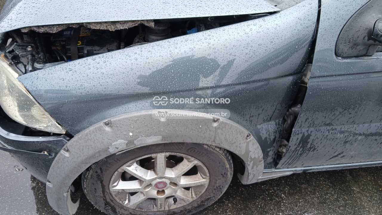 Fiat Palio Week Trekking 2010 — foto 11