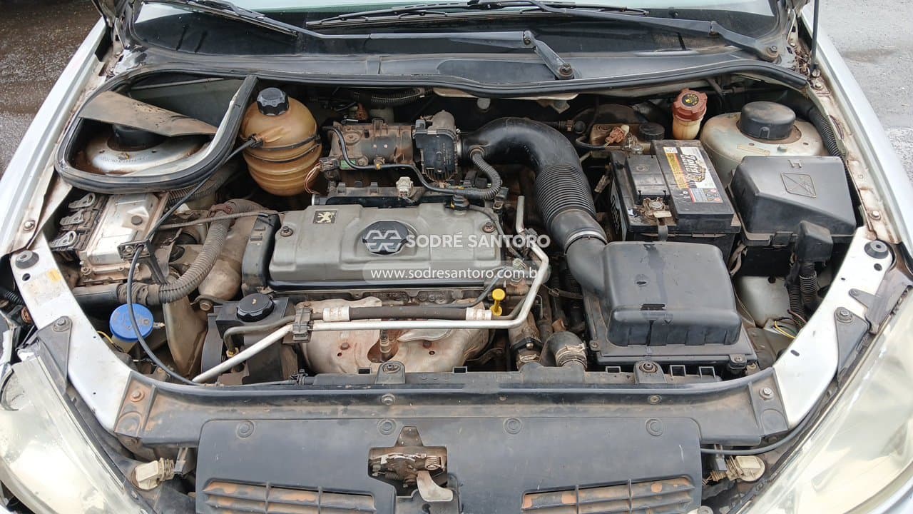 Peugeot 206 14 Moonli Fx 2008 — foto 5