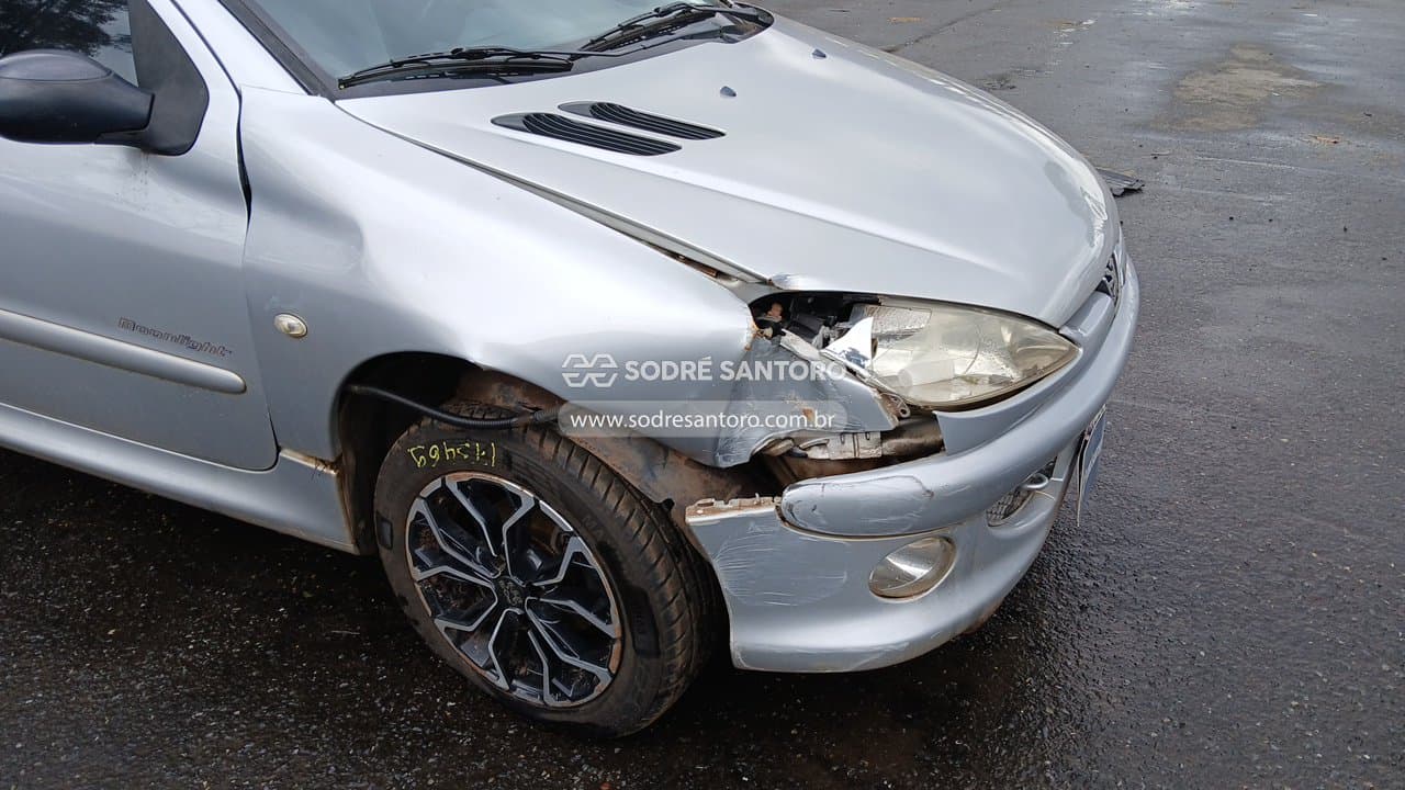 Peugeot 206 14 Moonli Fx 2008 — foto 10