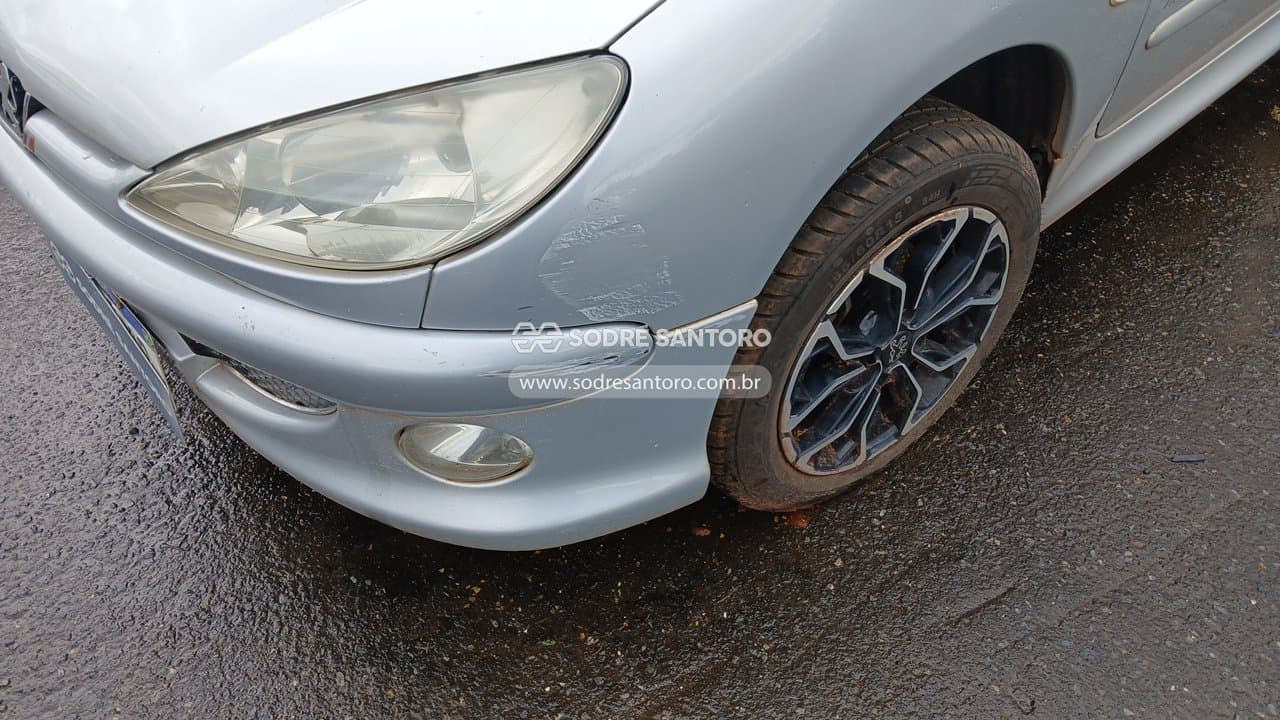 Peugeot 206 14 Moonli Fx 2008 — foto 11